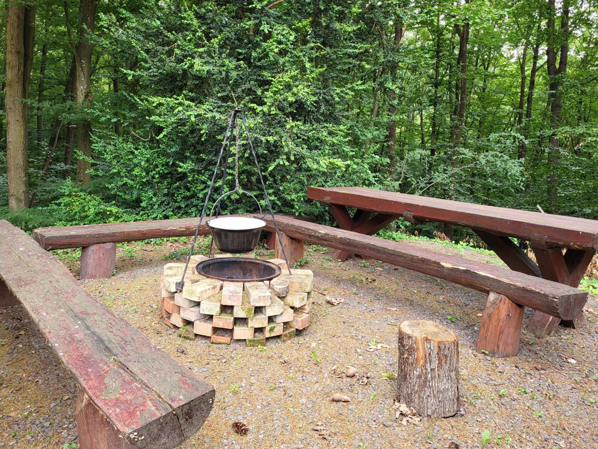Bed and Breakfast Senyoi Vendeghaz Bozsva Zewnętrze zdjęcie